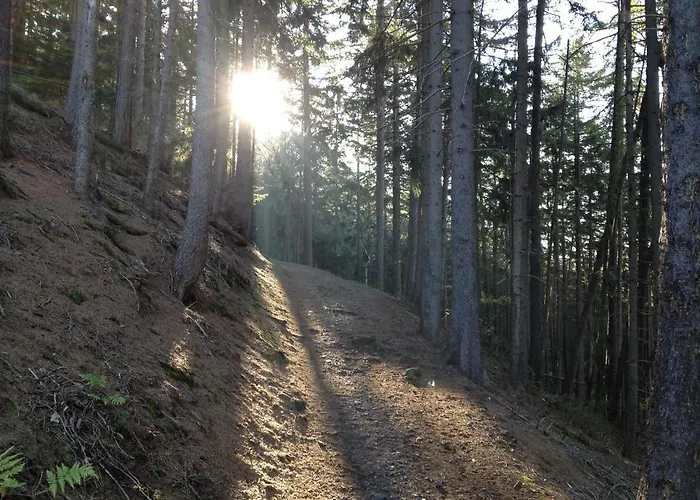 Altstadt Διαμέρισμα